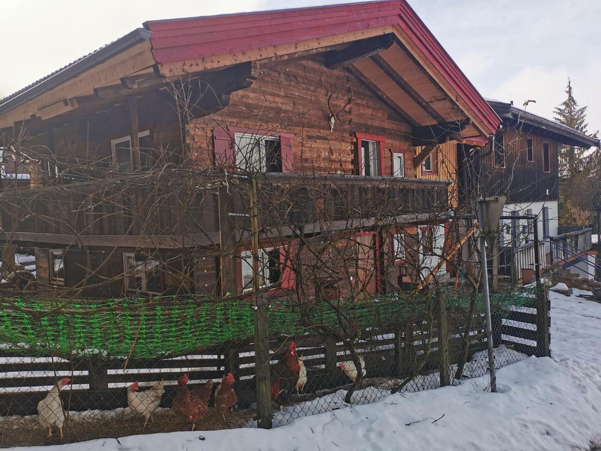 Kaiserhaus Harald Astner Ebbs Studio 2 Dış mekan fotoğraf